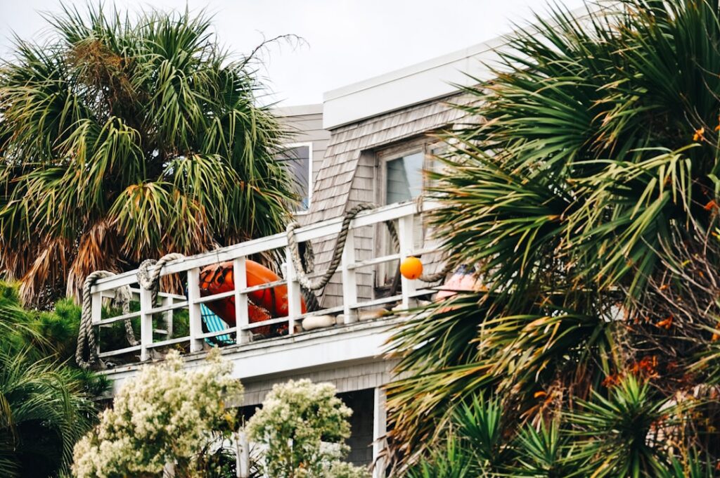 Photo by Lilly Gaddis on Unsplash